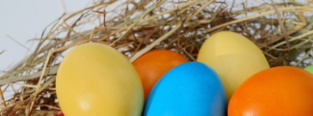 Easter Eggs Nest 2021 Facebook Covers